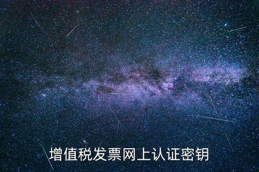 增值稅發票網上認證密鑰