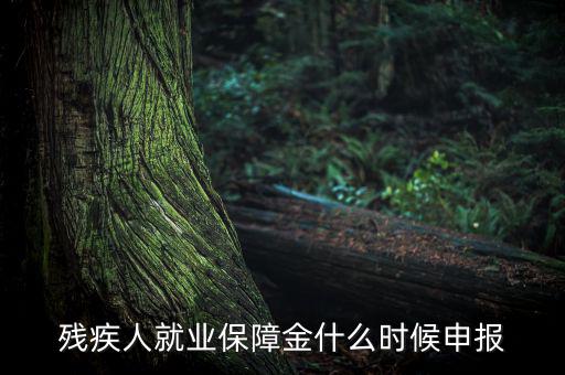 殘疾人保障金什么時候，殘疾人就業保障金怎么交什么時侯交會計分錄