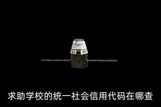 求助學校的統一社會信用代碼在哪查
