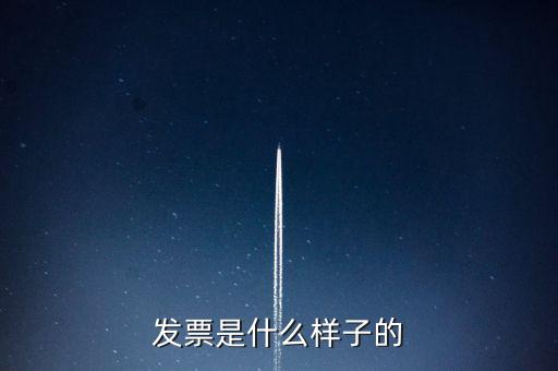 發票是什么樣子的