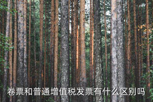 卷票和普通增值稅發票有什么區別嗎
