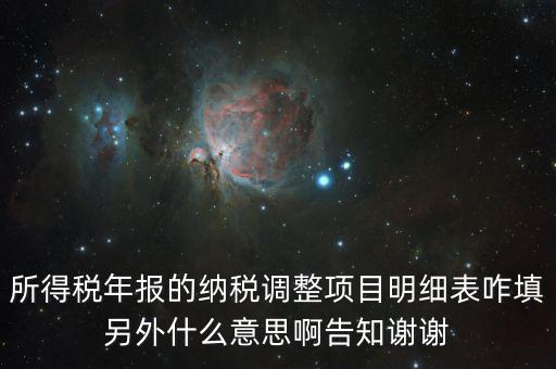 所得稅年報的納稅調整項目明細表咋填另外什么意思啊告知謝謝