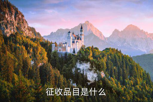 代辦手續費屬于什么征收品目，征收品目是什么