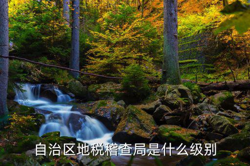 自治區地稅稽查局是什么級別