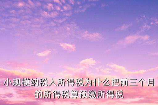 為什么會有預繳所得稅，我企業是今年1月被稅局核定按收入繳納企業所得稅 為什么第一季度報