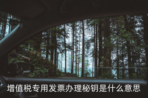 增值稅專用發票辦理秘鑰是什么意思
