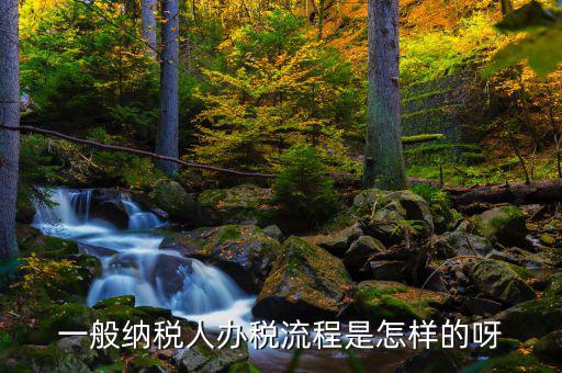 什么是正常辦稅，一般納稅人辦稅流程是怎樣的呀