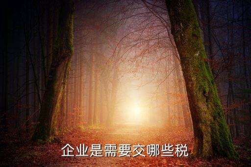 公司要交什么稅，企業是需要交哪些稅