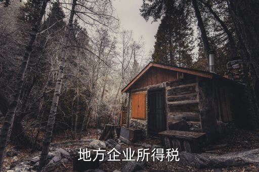 地方企業所得稅是什么，地方所得稅