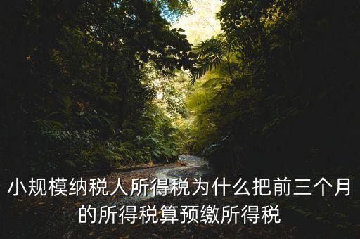 小規模納稅人所得稅為什么把前三個月的所得稅算預繳所得稅