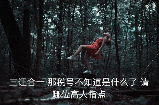 三證合一后的發票稅號是什么意思，三證合一 那稅號不知道是什么了 請哪位高人指點