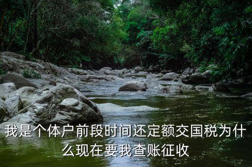 我是個體戶前段時間還定額交國稅為什么現在要我查賬征收