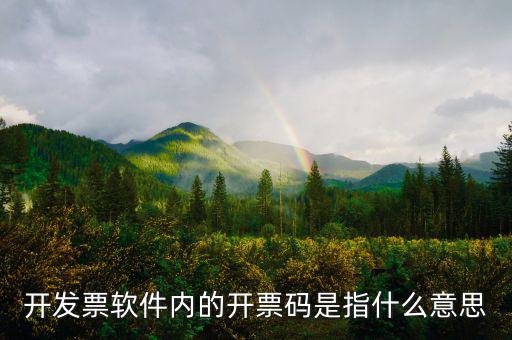 手工發(fā)票代碼什么意思，請(qǐng)問(wèn)我發(fā)票代碼第8位9位分別是BK是什么意思