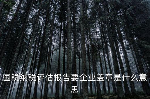 稅務國別報告是什么意思，國稅納稅評估報告要企業蓋章是什么意思