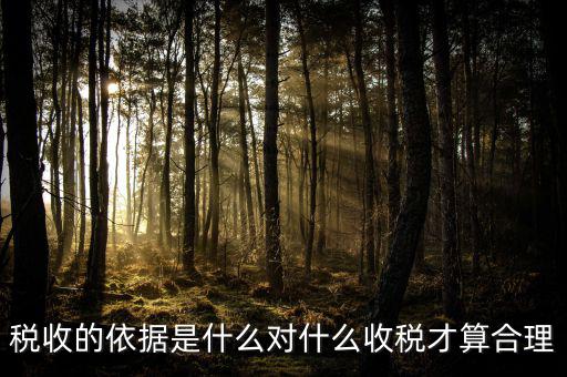 稅收的依據是什么對什么收稅才算合理