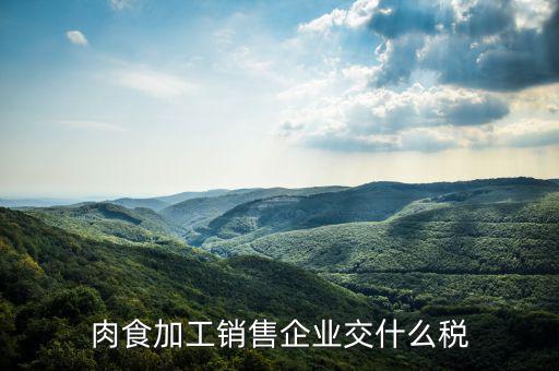 賣肉類交什么地稅，批發肉類的稅是多少