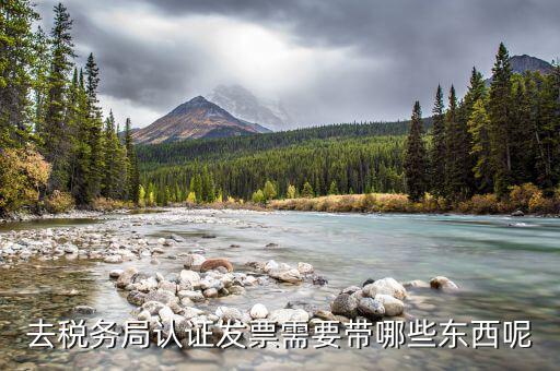 去稅務局認證發票需要帶哪些東西呢
