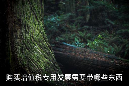 購買增值稅專用發票需要帶哪些東西