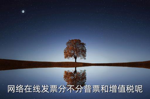 在線發票是什么，網絡在線發票分不分普票和增值稅呢