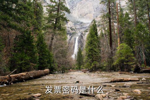 發票系統的密碼是什么樣的，國稅局發票軟件里用戶代碼和密碼是什么