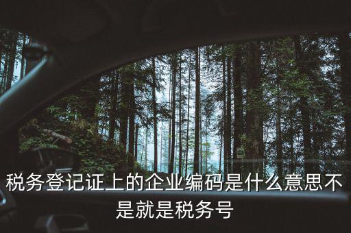 稅務登記證上的企業編碼是什么意思不是就是稅務號