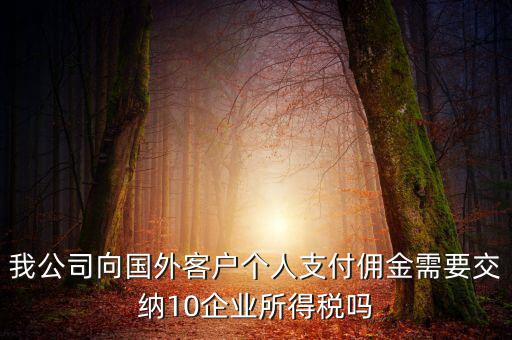 我公司向國外客戶個人支付傭金需要交納10企業所得稅嗎