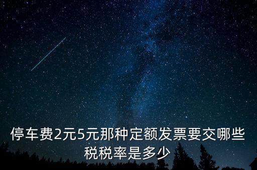 車輛停放服務按什么征稅，停車保潔交什么稅發票在國稅開還是地稅開