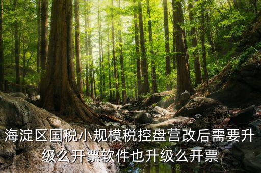 稅控盤為什么要升級，稅控盤鎖了找稅務專管員處理了說拿回來要升級一下怎么升級