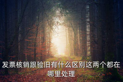 發票核銷跟驗舊有什么區別這兩個都在哪里處理