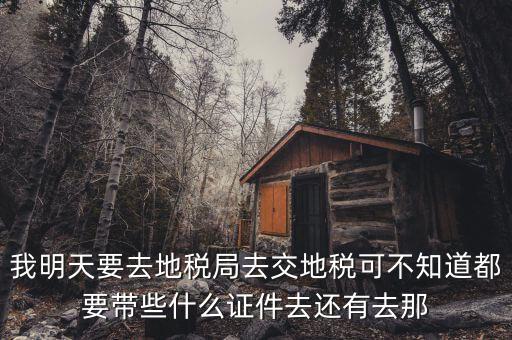 地稅大廳繳款需要什么，我公司是繳納營業稅的地稅去銀行繳納需要什么手續和步驟