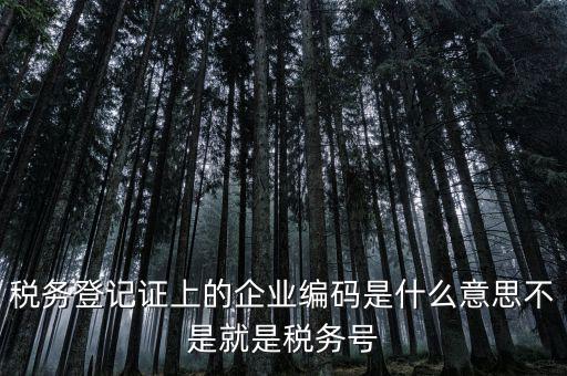 稅務編碼是什么意思，稅務登記證上的企業編碼是什么意思不是就是稅務號