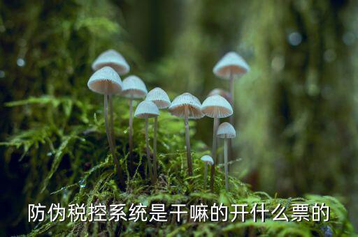 什么是稅控系統數據，金稅盤是什么
