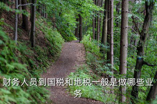 財務人員到國稅和地稅一般是做哪些業務