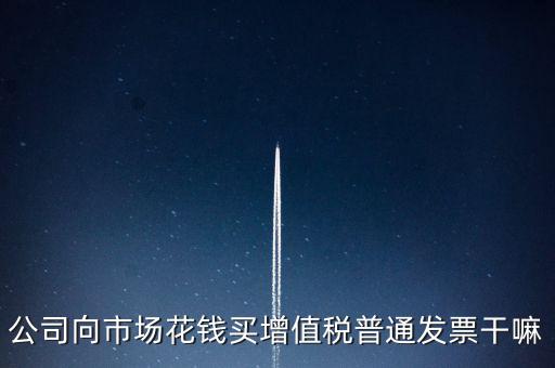 公司向市場花錢買增值稅普通發票干嘛