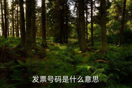 發(fā)票上什么是發(fā)票號碼嗎，普通增值稅發(fā)票上發(fā)票編號是哪一個
