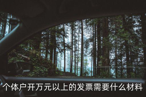 個體戶開萬元以上的發票需要什么材料