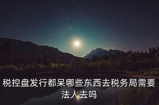 稅控盤發行都呆哪些東西去稅務局需要法人去嗎