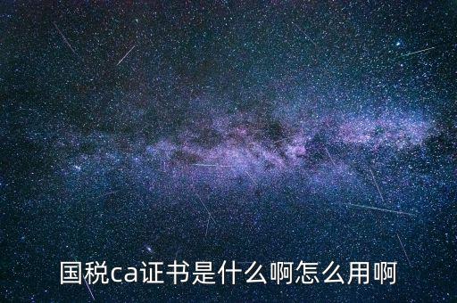 報稅的ca證書什么樣，稅務ca是什么意思是聯通ca證書嗎