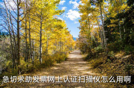 CA登陸可以開什么票，京東上什么可以開增值稅專用發票