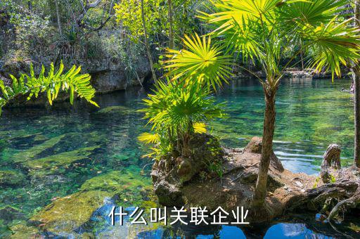 什么叫關聯企業