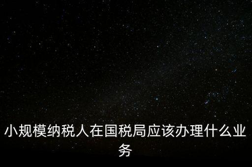 小規模納稅人在國稅局應該辦理什么業務