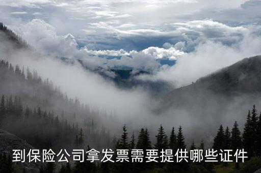 保險開專票需要什么資料，中國人壽保險打發票要什么手續