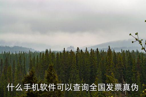什么手機軟件可以查詢全國發票真偽