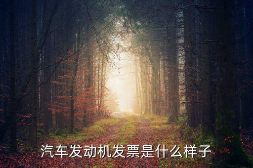 汽車發動機發票是什么樣子
