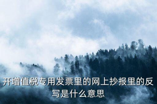 開票系統反寫是什么意思，開增值稅專用發票里的網上抄報里的反寫是什么意思