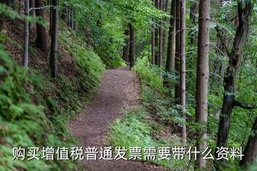 購買增值稅普通發票需要帶什么資料