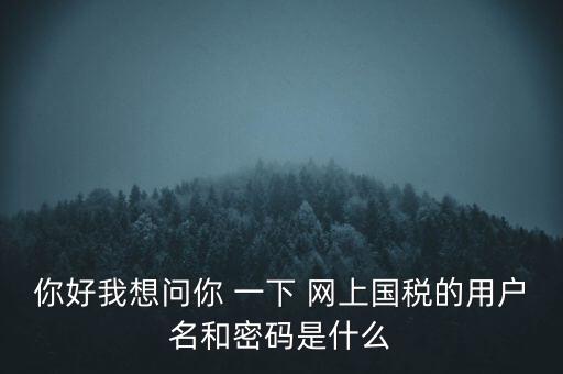 你好我想問你 一下 網上國稅的用戶名和密碼是什么
