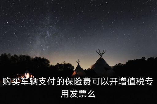 購買車輛支付的保險費可以開增值稅專用發票么