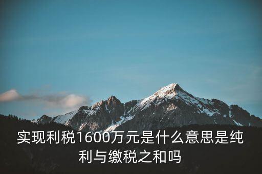 實時繳稅是什么意思，實時扣稅務請求3001什么意思