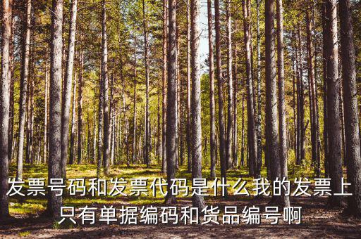 發票號碼和發票代碼是什么我的發票上只有單據編碼和貨品編號啊